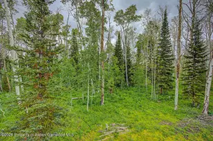 972 Timberlane Dr, Craig, CO 81625 - Photo 33