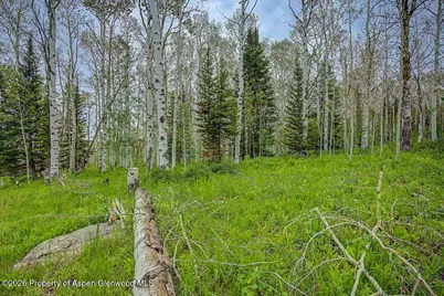 972 Timberlane Drive Lot#115, Craig, CO 81625 - Photo 35