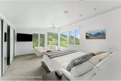 257 Mountain Laurel Drive, Aspen, CO 81611 - Photo 11