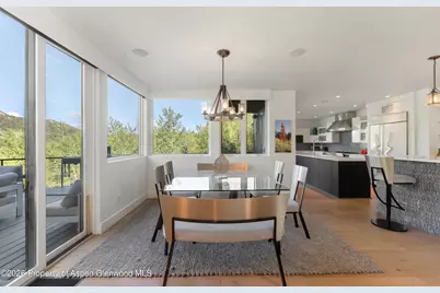 257 Mountain Laurel Drive, Aspen, CO 81611 - Photo 23
