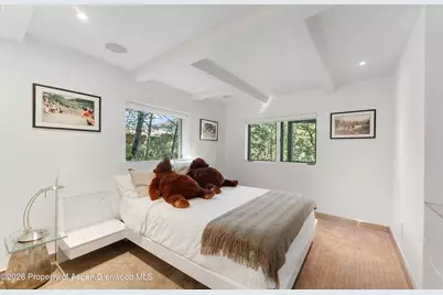 257 Mountain Laurel Drive, Aspen, CO 81611 - Photo 39