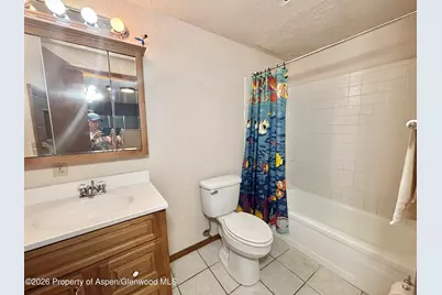 1623 W 7th Street, Rifle, CO 81650 - Photo 17