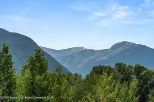 627 E Hopkins Ave, Aspen, CO 81611 - Photo 45