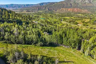 386 Pfister Dr, Aspen, CO 81611 - Photo 35