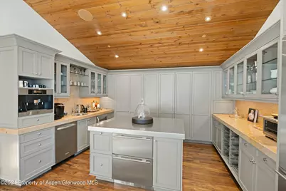 386 Pfister Drive, Aspen, CO 81611 - Photo 17