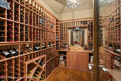 386 Pfister Drive, Aspen, CO 81611 - Photo 21