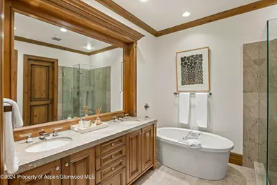 386 Pfister Drive, Aspen, CO 81611 - Photo 27