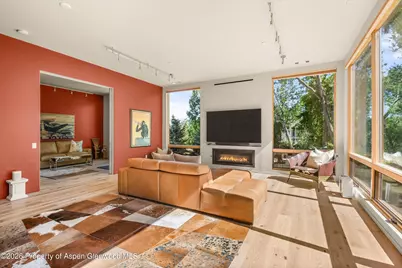 103 Willits Way #201, Basalt, CO 81621 - Photo 5