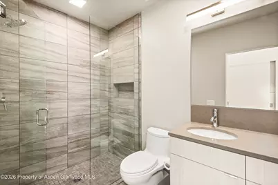 103 Willits Way #201, Basalt, CO 81621 - Photo 23
