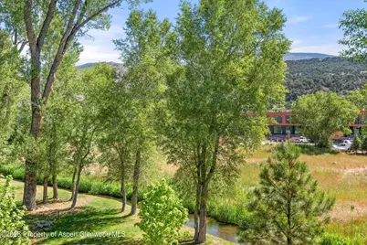 103 Willits Way #201, Basalt, CO 81621 - Photo 13