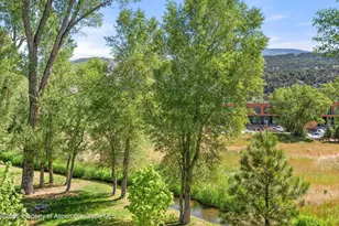 103 Willits Wy, Basalt, CO 81621 - Photo 13