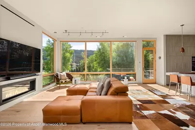 103 Willits Way #201, Basalt, CO 81621 - Photo 3