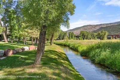103 Willits Way #201, Basalt, CO 81621 - Photo 25
