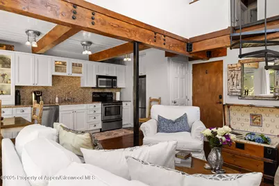 1024 E Cooper Avenue #8, Aspen, CO 81611 - Photo 5
