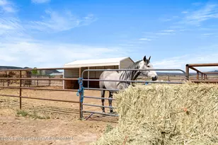2022 45 Rd, De Beque, CO 81630 - Photo 21