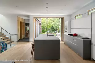 1006 E Cooper Ave, Aspen, CO 81611 - Photo 9