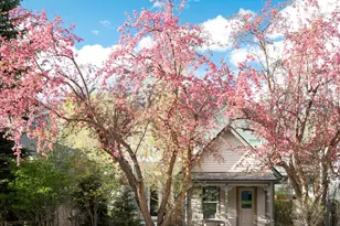 1006 E Cooper Ave, Aspen, CO 81611 - Photo 1