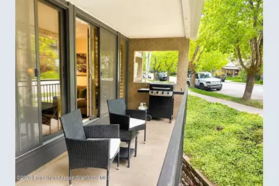 800 E Hopkins Avenue #A-1, Aspen, CO 81611 - Photo 13