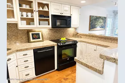 800 E Hopkins Avenue #A-1, Aspen, CO 81611 - Photo 3