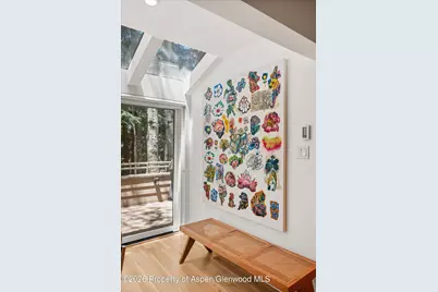 100 N Eighth Street #3, Aspen, CO 81611 - Photo 11