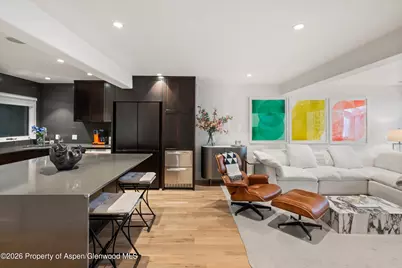 100 N Eighth Street #3, Aspen, CO 81611 - Photo 23