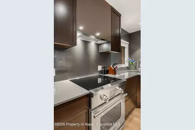 100 N Eighth Street #3, Aspen, CO 81611 - Photo 27