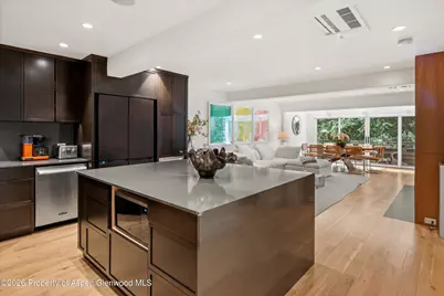 100 N Eighth Street #3, Aspen, CO 81611 - Photo 29