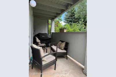 3102 Elk Lane, Basalt, CO 81621 - Photo 9