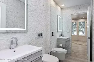 736 W Smuggler St, Aspen, CO 81611 - Photo 11