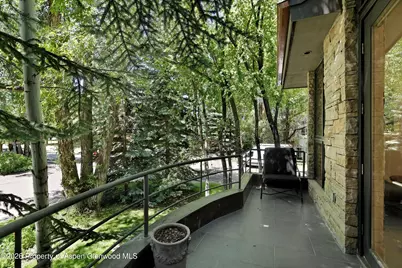 736 W Smuggler Street #B, Aspen, CO 81611 - Photo 31