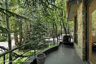 736 W Smuggler St, Aspen, CO 81611 - Photo 31