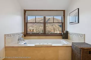 415 E Dean St Unit 45 Week 12, Aspen, CO 81611 - Photo 17
