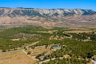 8296 Co Rd 301, Parachute, CO 81635 - Photo 47