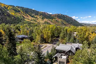 1154 E Cooper Ave, Aspen, CO 81611 - Photo 43