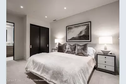1154 E Cooper Avenue #Unit B, Aspen, CO 81611 - Photo 25