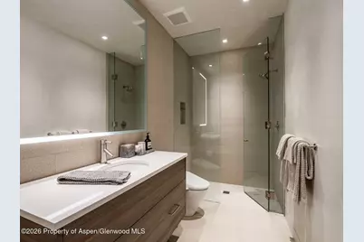 1154 E Cooper Avenue #Unit B, Aspen, CO 81611 - Photo 29