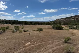 4530 Horse Canyon Rd, De Beque, CO 81630 - Photo 7
