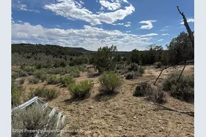 4530 Horse Canyon Road, De Beque, CO 81630 - Photo 21