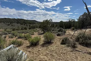 4530 Horse Canyon Rd, De Beque, CO 81630 - Photo 21