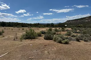 4530 Horse Canyon Rd, De Beque, CO 81630 - Photo 13