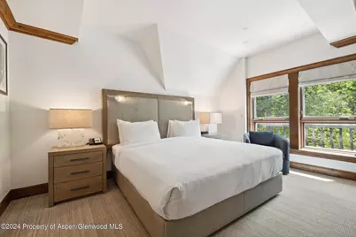 415 E Dean St., Unit 37, Week 6, Aspen, CO 81611 - Photo 15