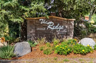 229 Faraway Rd, Snowmass Village, CO 81615 - Photo 25