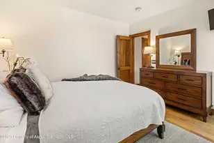 503 W Main St, Aspen, CO 81611 - Photo 21