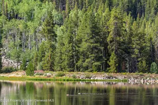 2450 North Fork Rd, Meredith, CO 81642 - Photo 33