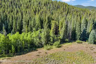 2450 North Fork Rd, Meredith, CO 81642 - Photo 51