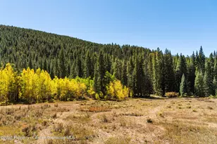 2450 North Fork Rd, Meredith, CO 81642 - Photo 29