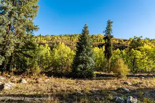 2450 North Fork Rd, Meredith, CO 81642 - Photo 35