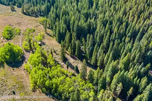 2450 North Fork Rd, Meredith, CO 81642 - Photo 53