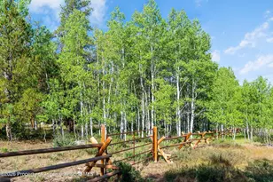 2450 North Fork Rd, Meredith, CO 81642 - Photo 45