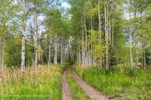 5387 Castle Creek Rd, Aspen, CO 81612 - Photo 23